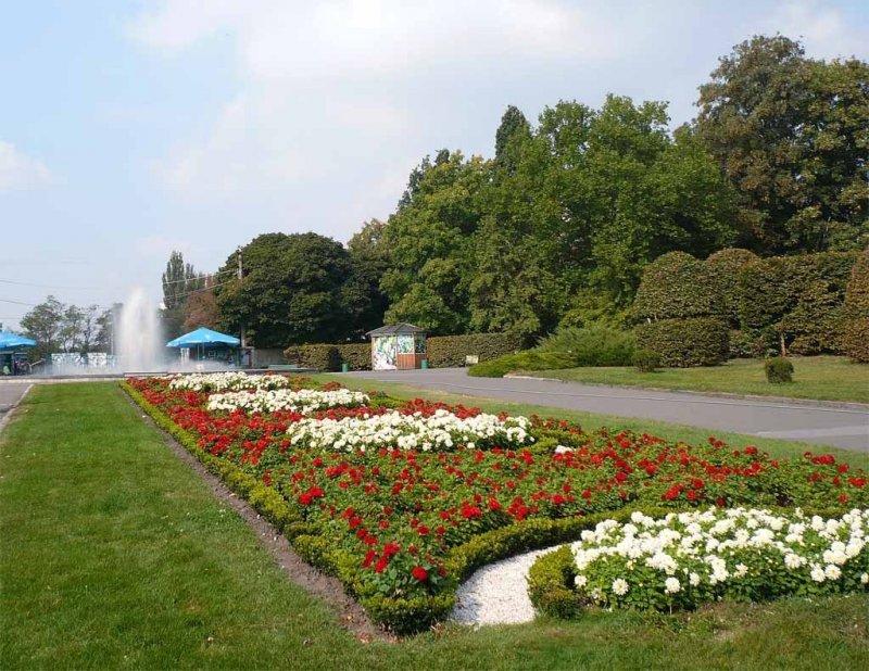 Киев Ботанический сад имени Гришко весной