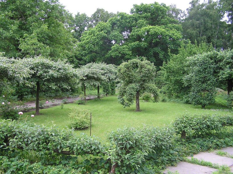 Оранжерея ботанического сада Нижний Новгород