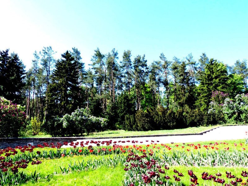 Киевский Ботанический сад