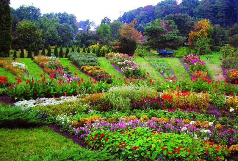 Сад Киев