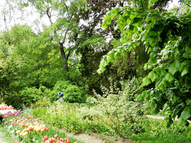 Аптекарский огород парк Москва