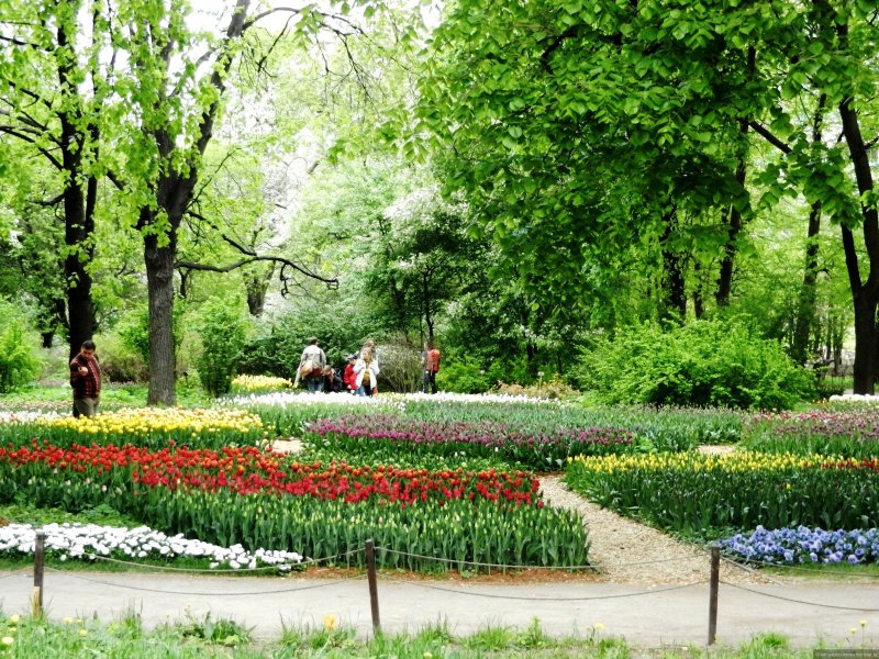 Знаменитые сады России
