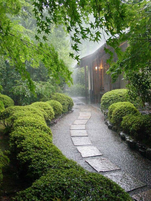 Тропинки в японском саду