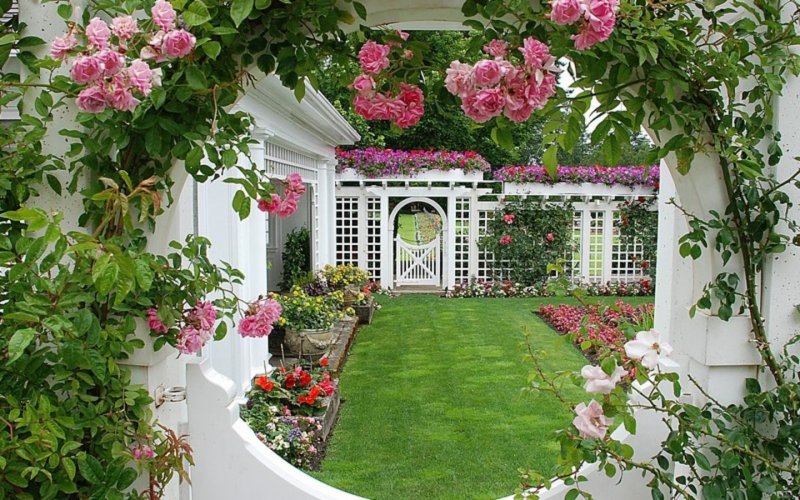Розовый сад древнегреческая пергола