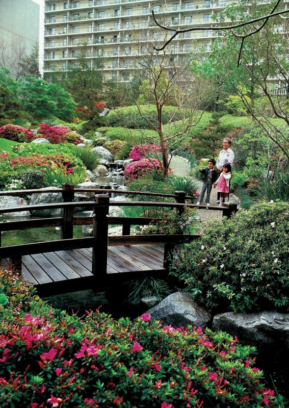 Парк Куркино японский сад