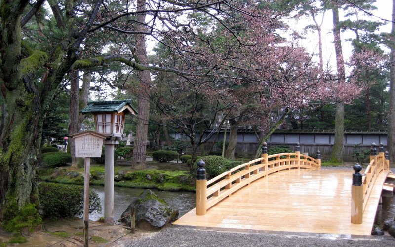 Район Куркино японский парк