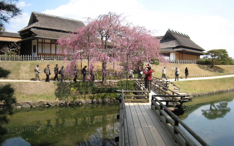Японский сад в Куркино