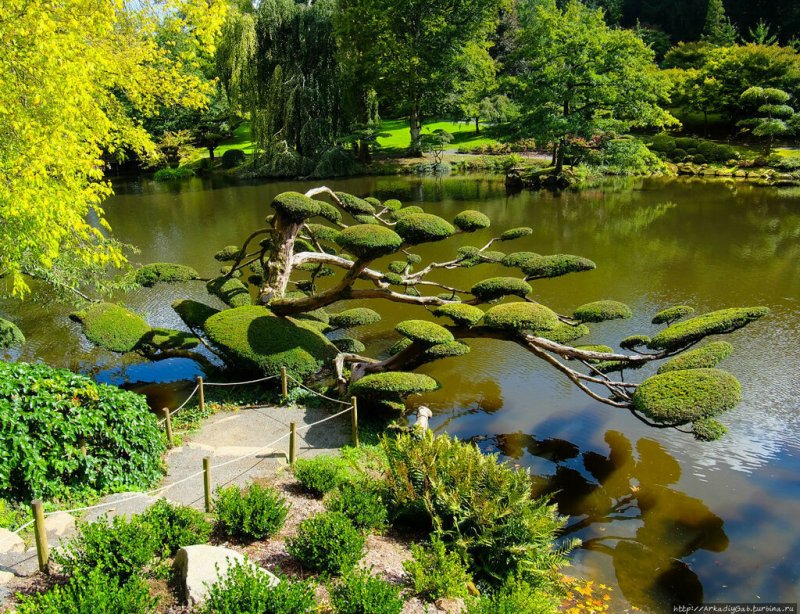 Парк Аглицкого японский сад