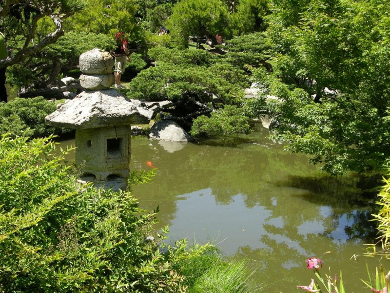 Куркино японский парк