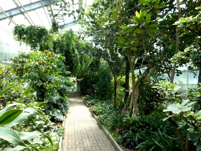 Ботанический сад ЮФУ картинки