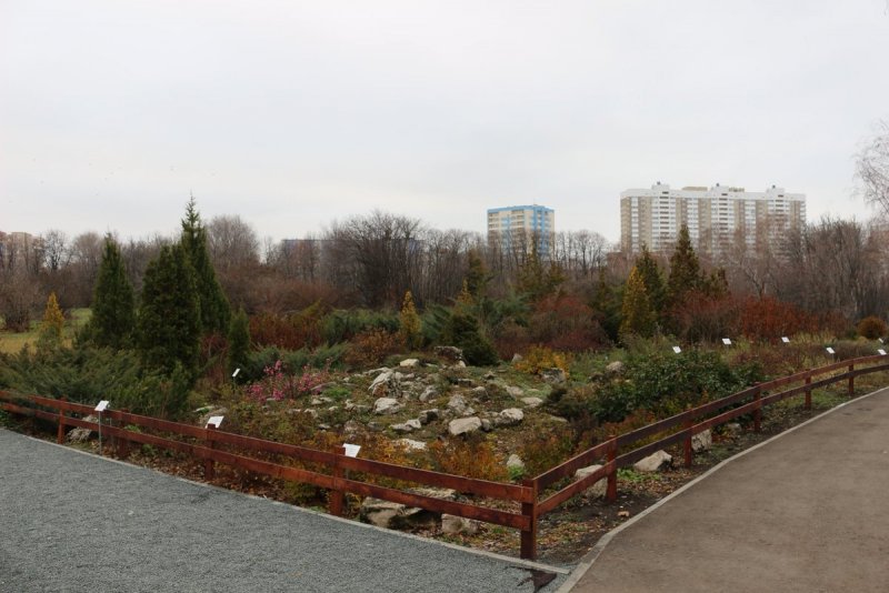 Ботанический сад Киев