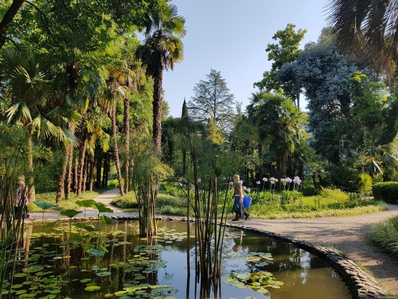 Абхазия достопримечательности Сухумский Ботанический сад