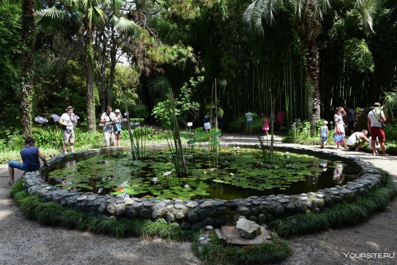 Ботанический сад Тбилиси оранжерея