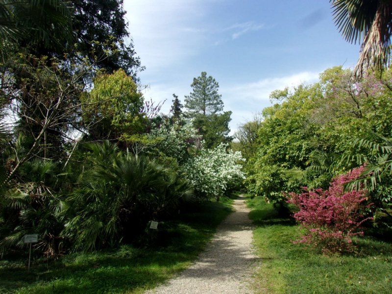 Абхазия достопримечательности Сухумский Ботанический сад