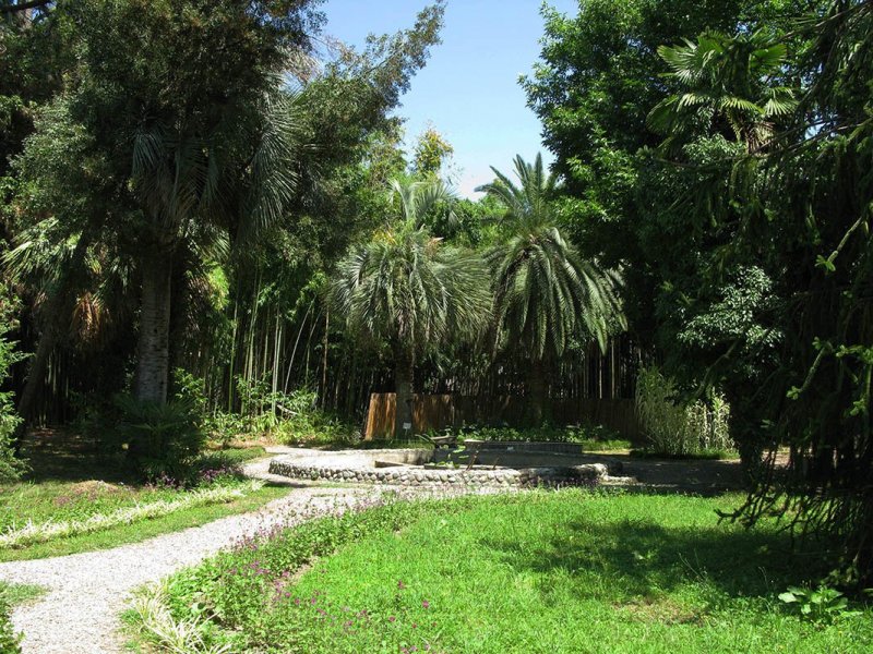 Ботанический сад Абхазия