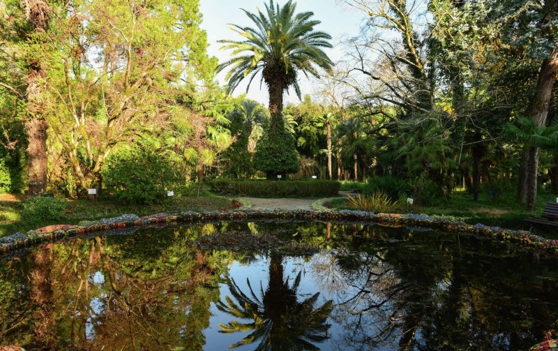 Сухуми Дендрарий Ботанический сад