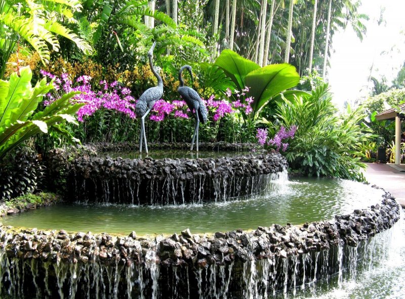 Сингапурский Ботанический сад национальный сад орхидей