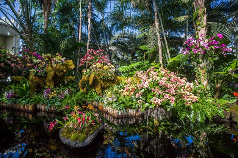 Монреальский Ботанический сад орхидей