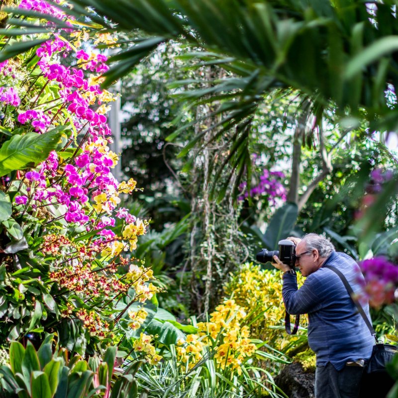 Сингапур Орхидейная оранжерея
