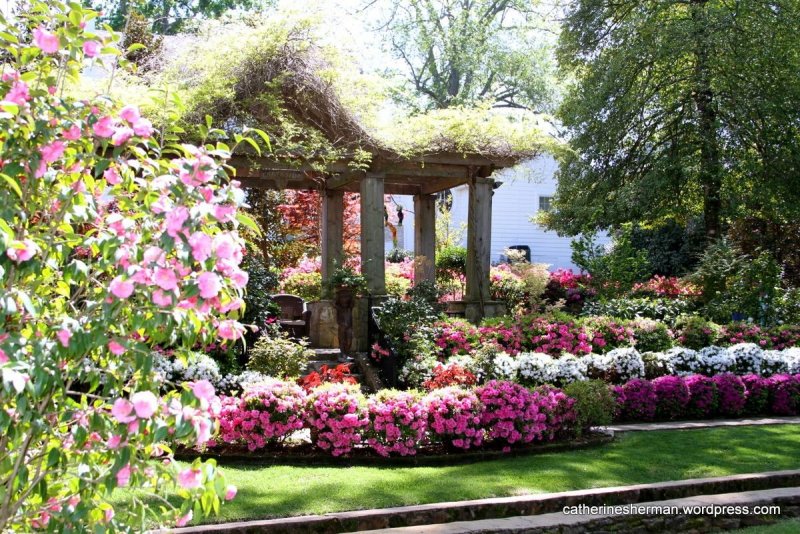 Сад с цветами