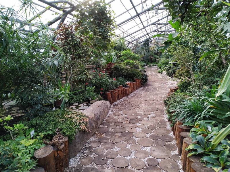 Ботанический сад Пенза оранжерея