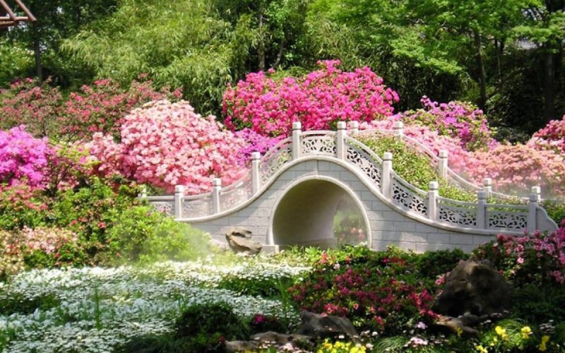 Парк цветов Бронницы