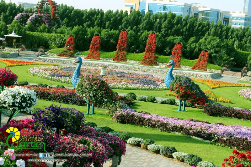 Культурный ландшафт сады Вьетнама