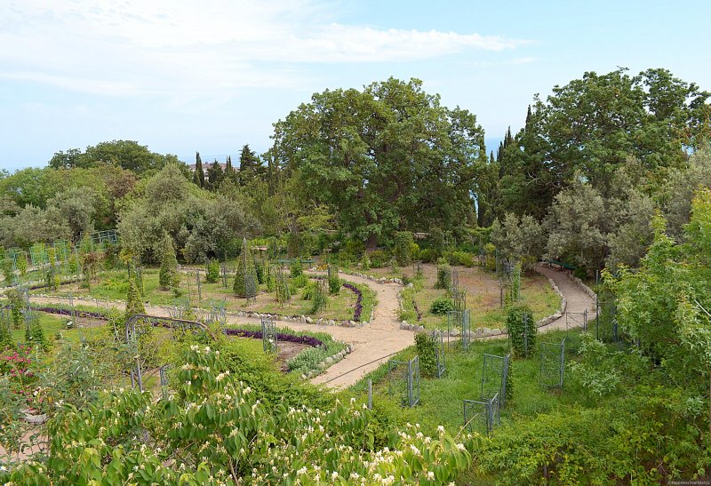 Райский сад Никитского ботанического