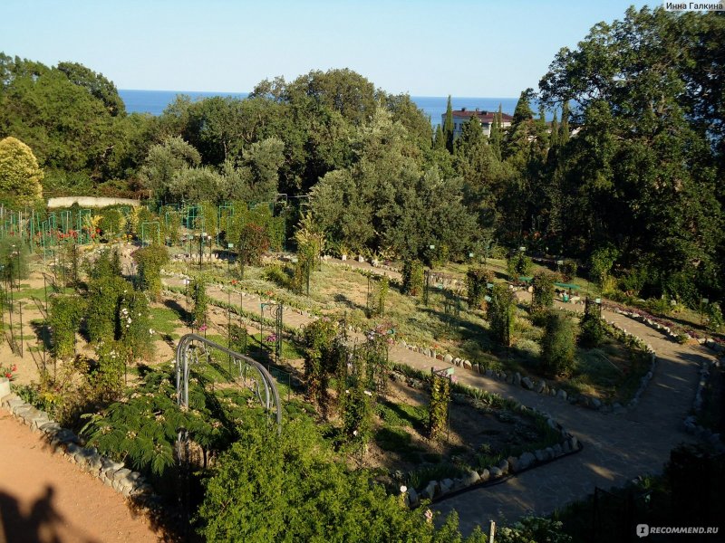 Парк Монтедор Никитского ботанического сада