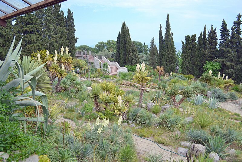 Кактусовая оранжерея, «Райский сад» и парк «Монтедор»