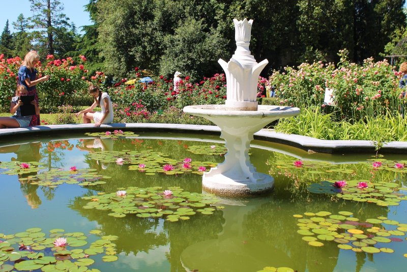 Никитский Ботанический сад бассейн
