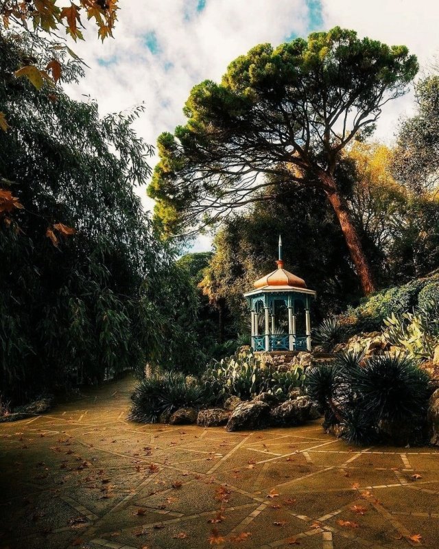 Парк Монтедор Никитского ботанического