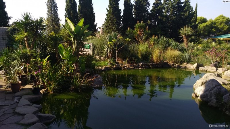Парк Монтедор кактусовая оранжерея