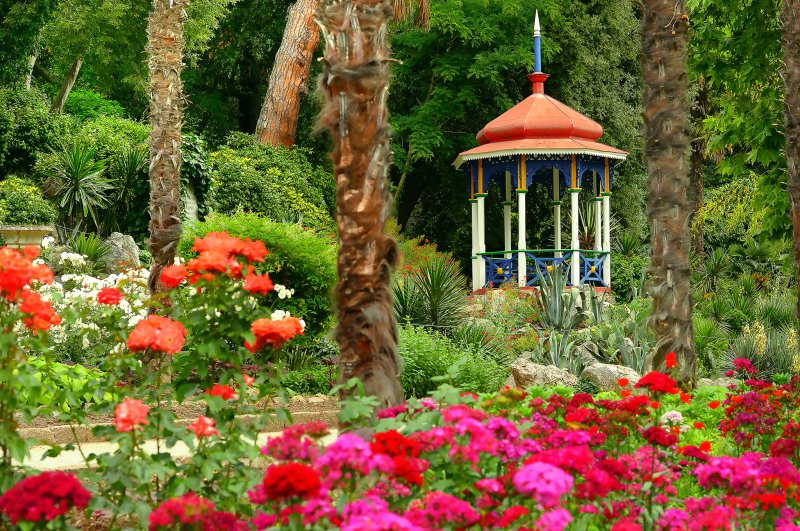 Райский сад Никитского ботанического сада