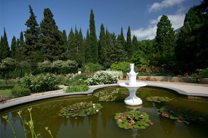 Никитский Ботанический сад Нижний парк