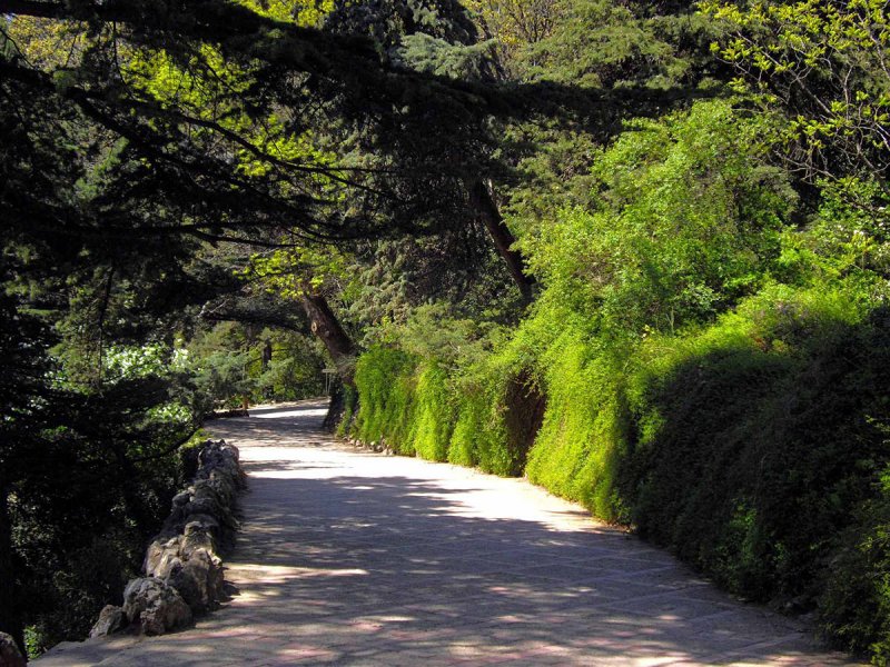 Никитский Ботанический сад Симферополь