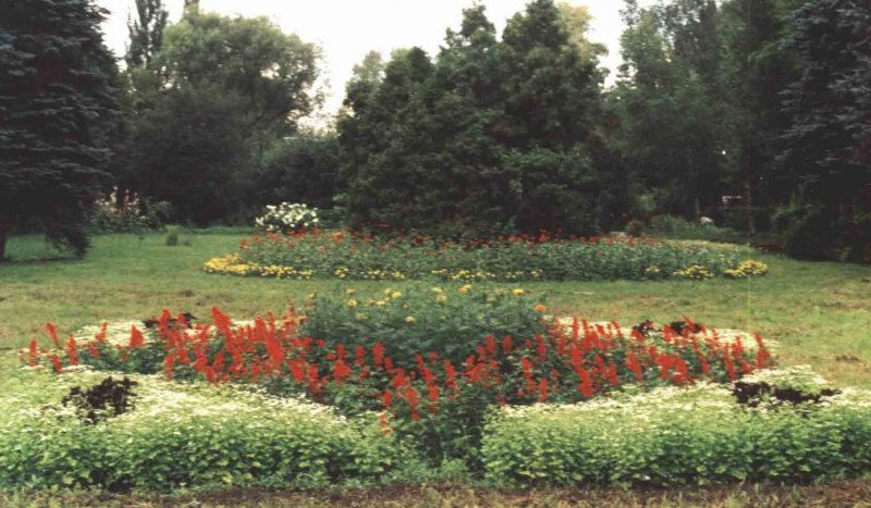 Ботанический сад Самара