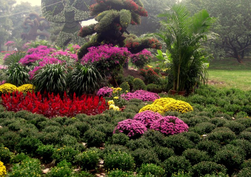 Аллея Treetop Ботанические сады Кью