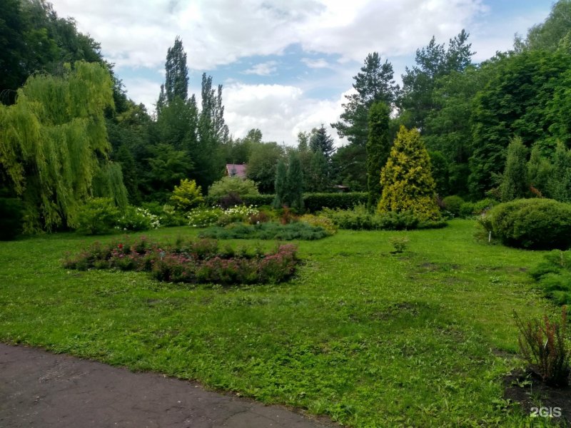 Ботанический сад имени Ржавитина Саранск