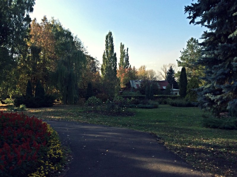 Ботанический сад в Саранске на Ремзаводе