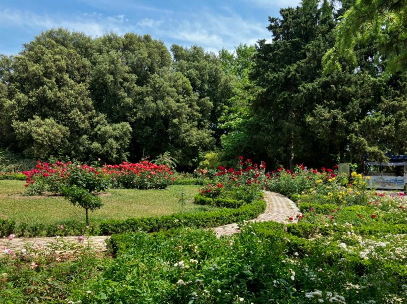 Ботанический сад Саранск
