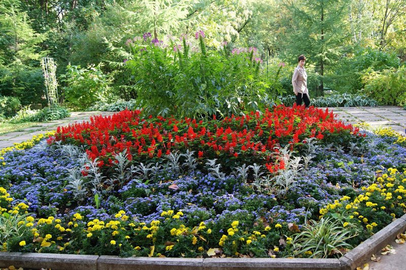 South Carolina Botanical Garden Южная Каролина