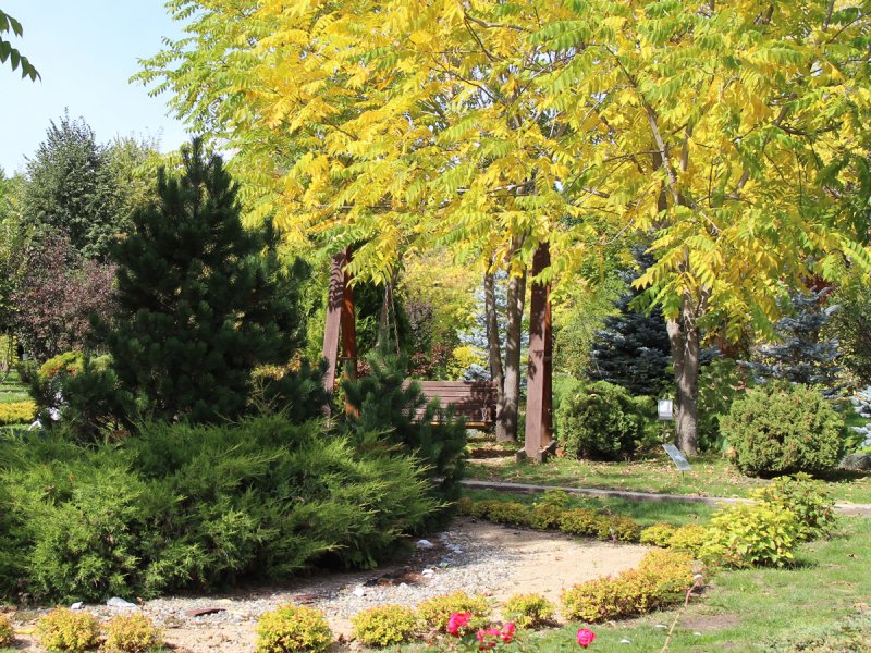 Ботанический сад Саранск
