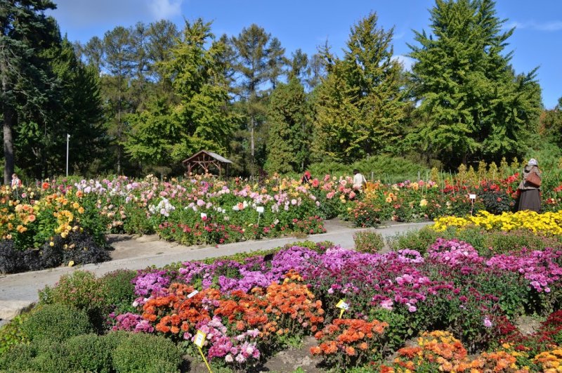 Центральный Ботанический сад Минск