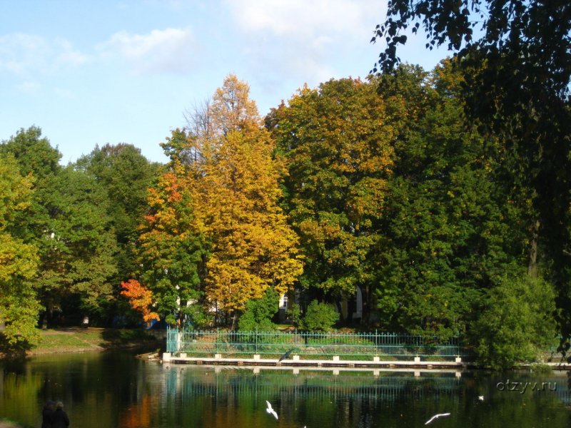 Таврический сад в Санкт-Петербурге оранжерея