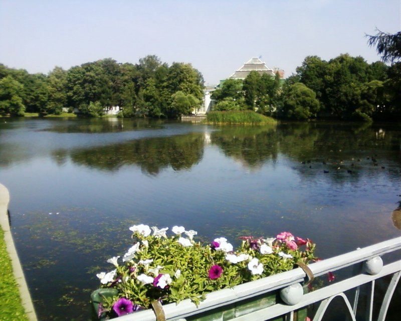 Таврический сад Санкт-Петербург летом