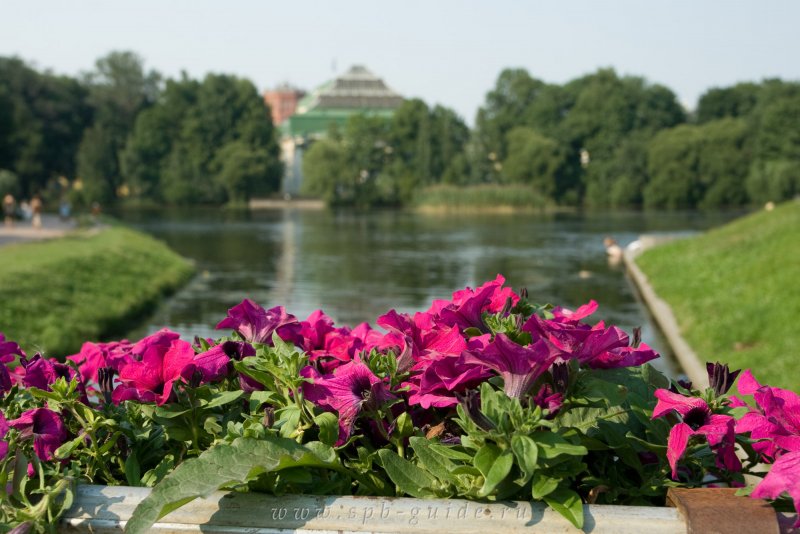 Парк Таврический сад в Санкт-Петербурге