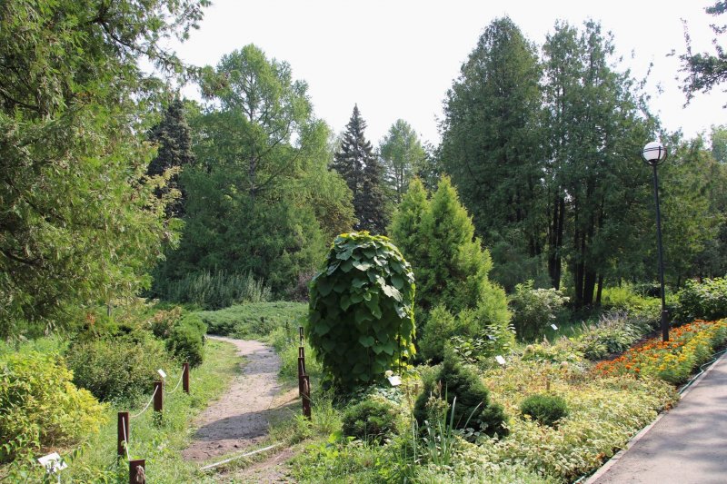 Самарский Ботанический сад