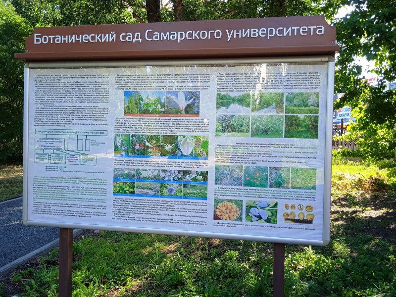 Ботанический сад озеро Самара
