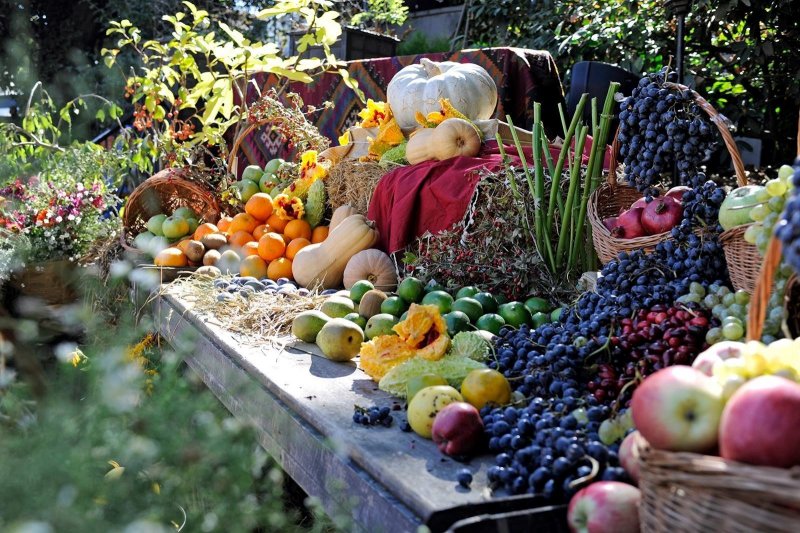 Сад с фруктами